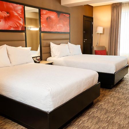 Hilton Garden Inn Guatemala Dış mekan fotoğraf